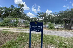 164 Royal Palm Dr, Leesburg, FL 34748 - Photo 79