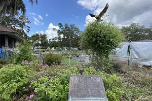 164 Royal Palm Dr, Leesburg, FL 34748 - Photo 85