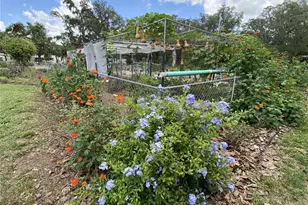 164 Royal Palm Dr, Leesburg, FL 34748 - Photo 83