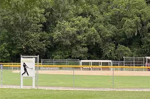 164 Royal Palm Dr, Leesburg, FL 34748 - Photo 75