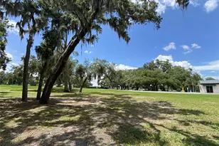 164 Royal Palm Dr, Leesburg, FL 34748 - Photo 91