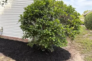 164 Royal Palm Dr, Leesburg, FL 34748 - Photo 35