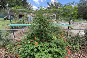 164 Royal Palm Dr, Leesburg, FL 34748 - Photo 83