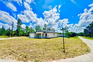 9835 N Essex Terrace, Dunnellon, FL 34433 - Photo 5