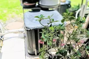 6640 121st Ave, Largo, FL 33773 - Photo 27