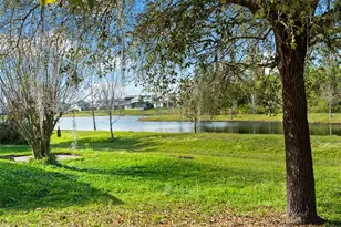 12810 Moss Park Ridge Dr, Orlando, FL 32832 - Photo 43