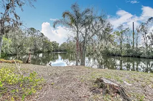 3322 Heather Glynn Dr, Mulberry, FL 33860 - Photo 39