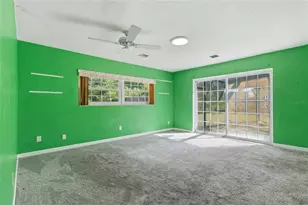 5627 Oakland Dr, Tampa, FL 33617 - Photo 21