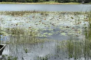 17927 E Apshawa Rd, Minneola, FL 34715 - Photo 37