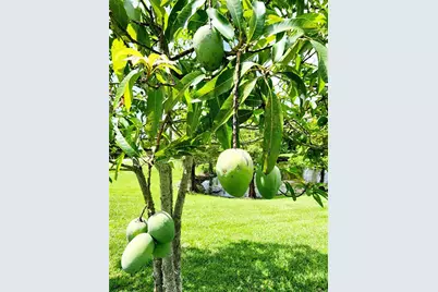 813 Marsh Reed Drive, Winter Garden, FL 34787 - Photo 57