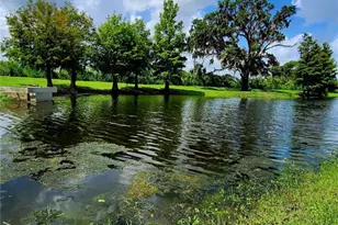 813 Marsh Reed Dr, Winter Garden, FL 34787 - Photo 61