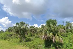 2277 Drennon St, Port Charlotte, FL 33953 - Photo 1