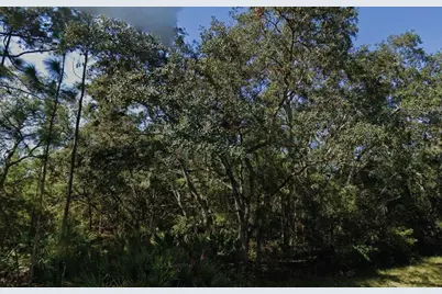 Theresa Avenue, Interlachen, FL 32148 - Photo 1