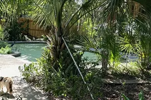 2932 Silver Ridge Dr, Orlando, FL 32818 - Photo 9