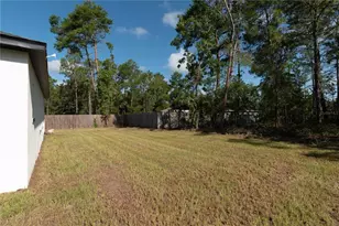 6291 SW 133rd St Rd, Ocala, FL 34473 - Photo 45