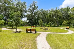 3984 Mayhill Loop, Eustis, FL 32736 - Photo 25