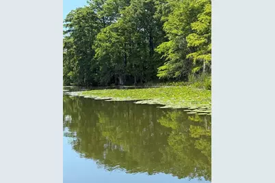 Haines Creek Road, Leesburg, FL 34788 - Photo 9