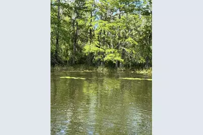 Haines Creek Road, Leesburg, FL 34788 - Photo 15