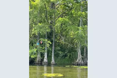 Haines Creek Road, Leesburg, FL 34788 - Photo 17