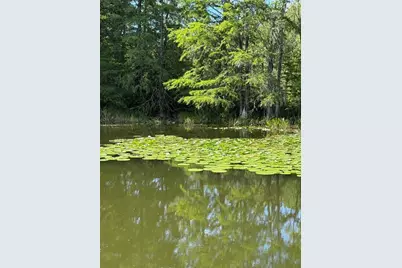 Haines Creek Road, Leesburg, FL 34788 - Photo 13