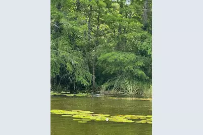 Haines Creek Road, Leesburg, FL 34788 - Photo 19