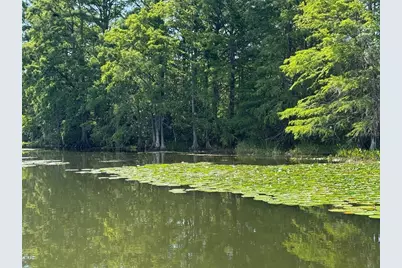 Haines Creek Road, Leesburg, FL 34788 - Photo 11