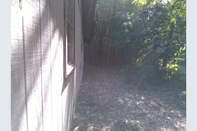 31429 Anna Street, Deland, FL 32720 - Photo 7