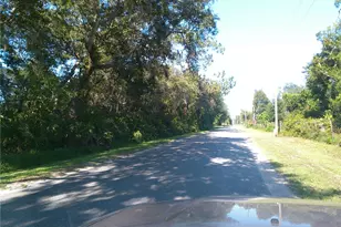 31429 Anna St, Deland, FL 32720 - Photo 21