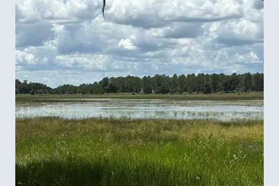 3170 Bright Lake Circle, Groveland, FL 34736 - Photo 29