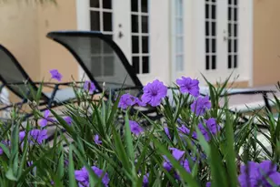 490 Muirfield Loop, Reunion, FL 34747 - Photo 33