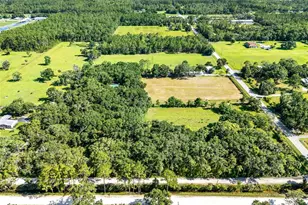 187 N Samsula Dr, New Smyrna Beach, FL 32168 - Photo 69