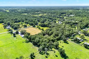 187 N Samsula Dr, New Smyrna Beach, FL 32168 - Photo 75