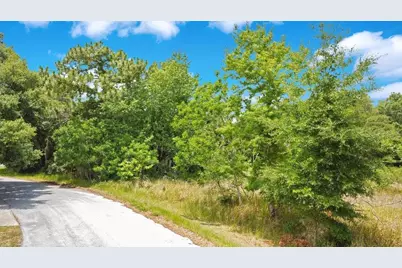 Bahia Rd, Ocala, FL 34472 - Photo 3