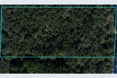 Ne 210th Avenue, Williston, FL 32696 - Photo 1