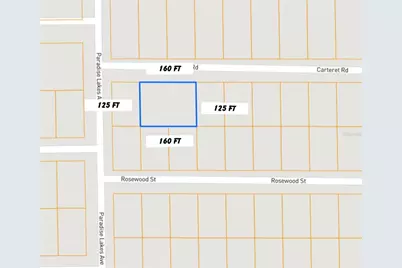 305 Carteret Road, Georgetown, FL 32139 - Photo 9