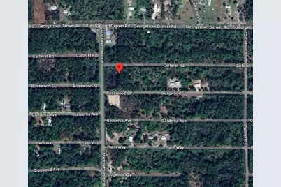 305 Carteret Road, Georgetown, FL 32139 - Photo 11