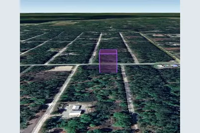 305 Carteret Road, Georgetown, FL 32139 - Photo 7