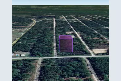 305 Carteret Road, Georgetown, FL 32139 - Photo 3