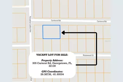 305 Carteret Road, Georgetown, FL 32139 - Photo 5