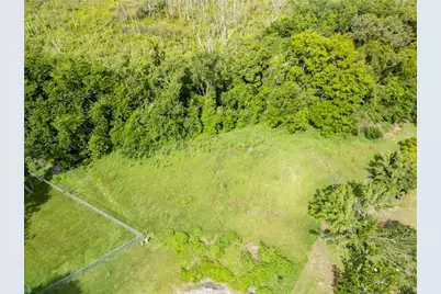 Nest Court, Grand Island, FL 32735 - Photo 5