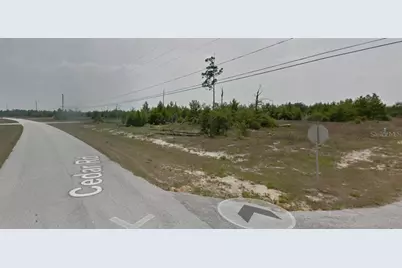 300 Begonia Court, Kissimmee, FL 34759 - Photo 1