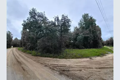 0 NE 120th Street, Bronson, FL 32621 - Photo 3