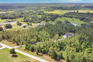 4450 Empire Church Rd, Groveland, FL 34736 - Photo 51