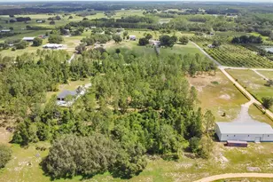 4450 Empire Church Rd, Groveland, FL 34736 - Photo 11