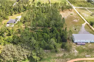 4450 Empire Church Rd, Groveland, FL 34736 - Photo 53