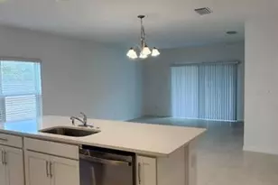 1341 Sawgrass Hammock Ln, Davenport, FL 33837 - Photo 5