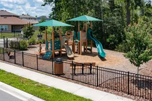 1337 Sawgrass Hammock Ln, Davenport, FL 33837 - Photo 3