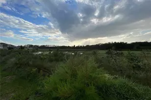 1337 Sawgrass Hammock Ln, Davenport, FL 33837 - Photo 5