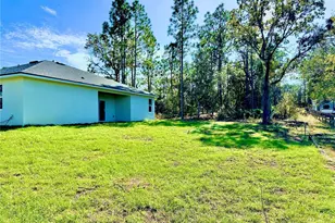 10984 N G Martinelli Blvd, Citrus Springs, FL 34433 - Photo 15