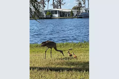 1401 W Highway 50 #179, Clermont, FL 34711 - Photo 51